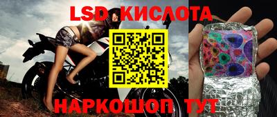 apvp Беслан