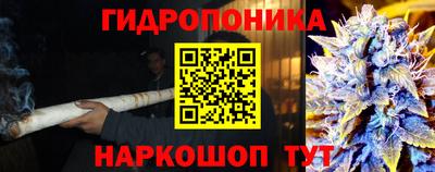 apvp Беслан