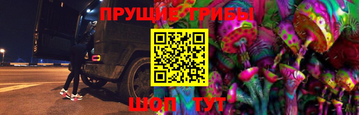 Кольчугино  Галлюциногенные грибы MAGIC MUSHROOMS  Вход с VPN  Галлюциногенные грибы MAGIC MUSHROOMS 